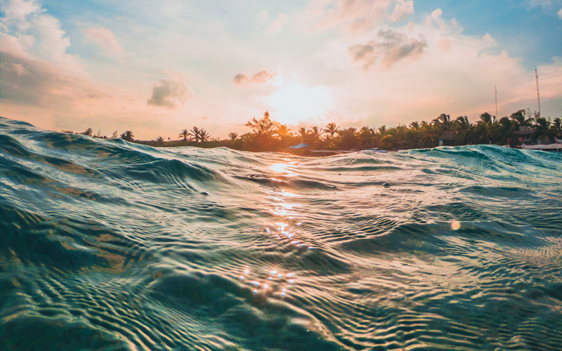 banner-blog-viche-manglar-4