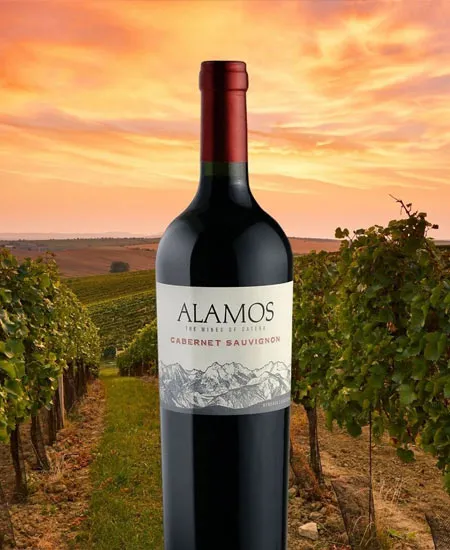 Alamos Cabernet Sauvignon x 750ml