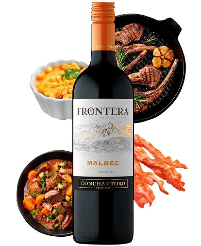 Frontera Malbec x 750 ML