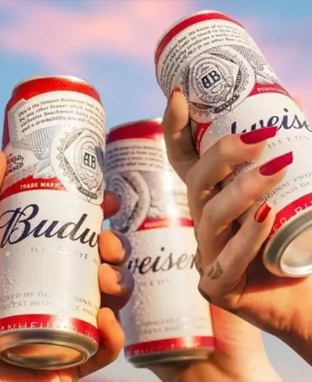 Foto manos con latas de Budweiser Sixpack x 269ml