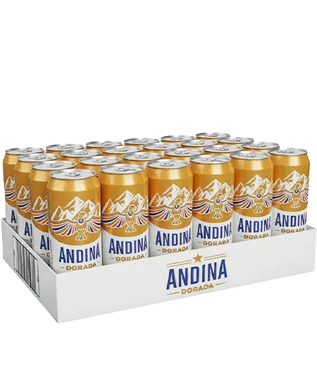 Paca Andina 310ml x 24 unid