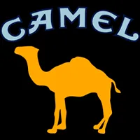 Cateogría relacionada: Marca Camel